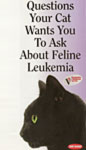 Brochure: Questions about Leukemia