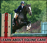 Click here to learn more about our Equine Care Program
