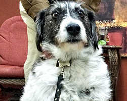 Franklin