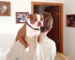 Molly