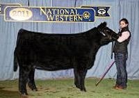 Jones Calf