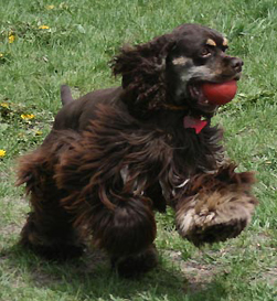 Maggie